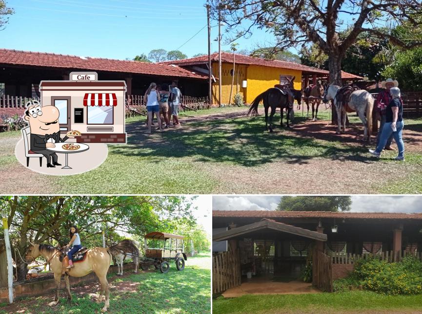 Você pode espairecer no exterior Comida na Trempa