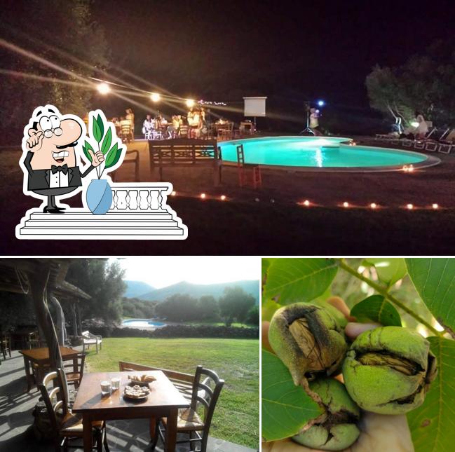 Agriturismo Medau Becciu