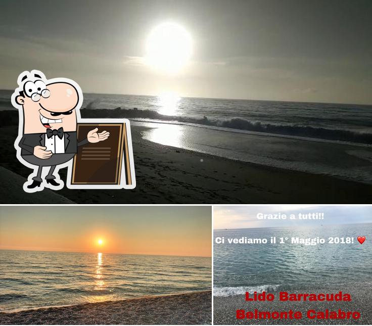 Curiosa tra l'area esterna di Lido Barracuda - Belmonte Calabro