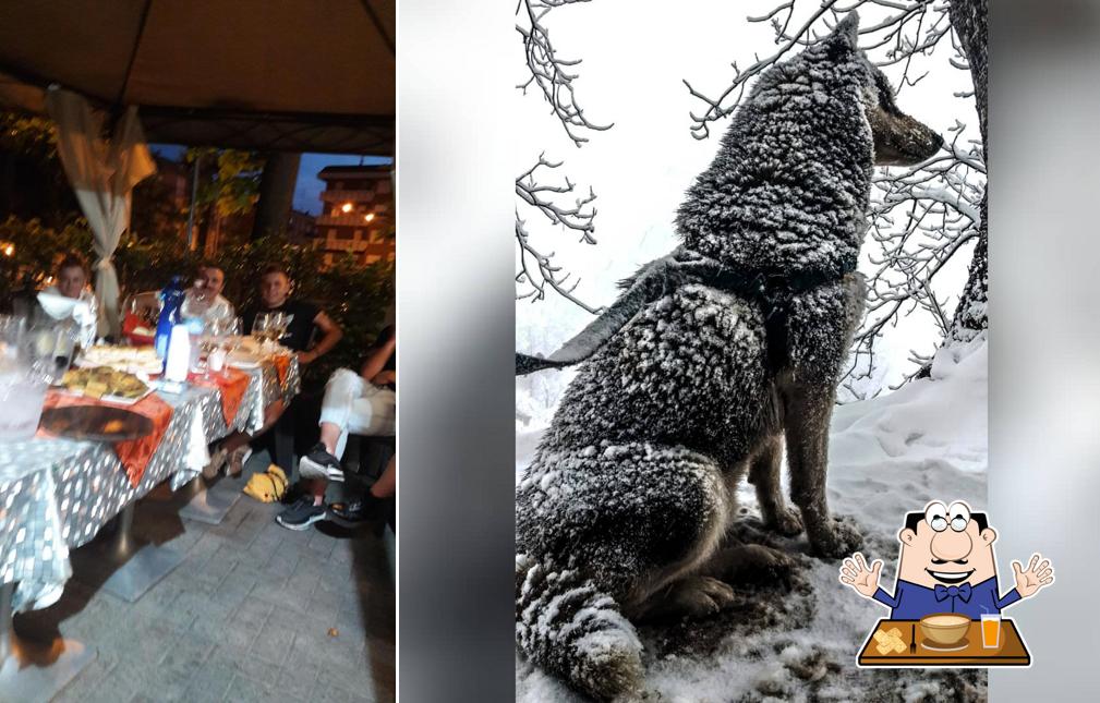Cibo al Husky Caffe