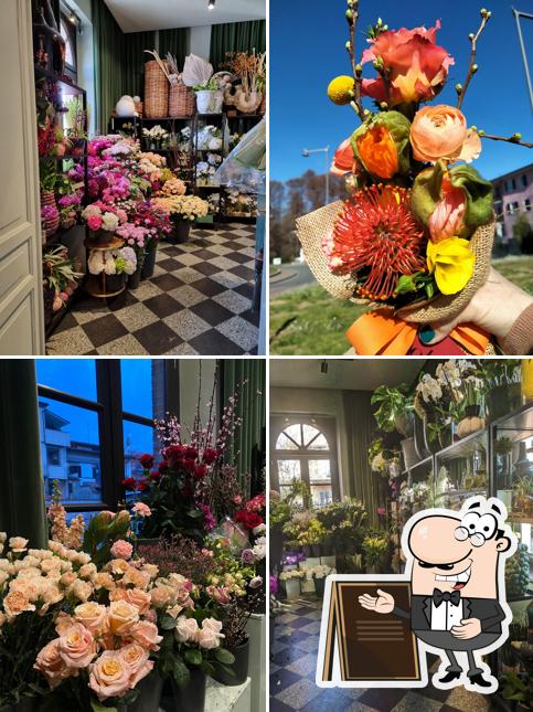 Gli esterni di Bohem Fiori, Bon Bon Confetteria, Caffè, Bistrot