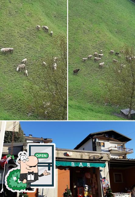 Guarda gli esterni di Bar Parco Giochi Cassina Valsassina