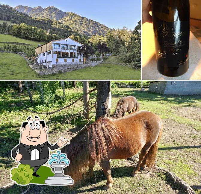 Guarda la foto che raffigura la esterno e bevanda di Restaurant-Cafè Ladurner