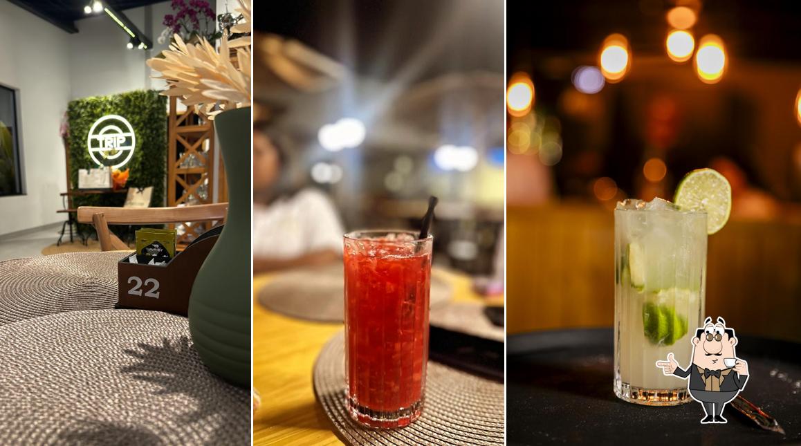 Trip Gastronomia