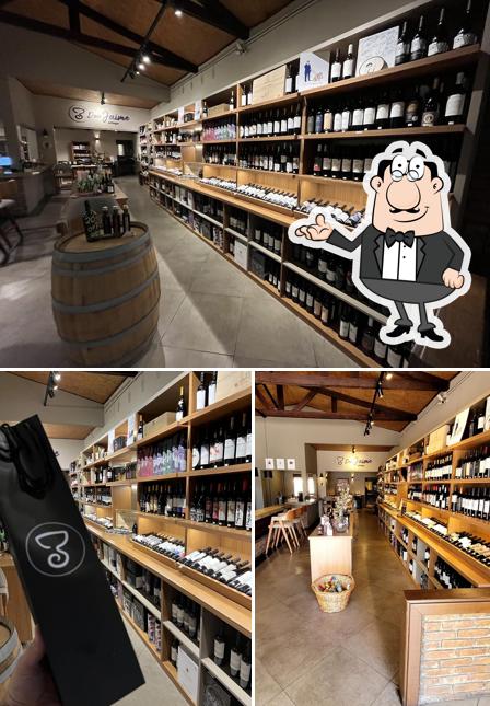 Adega Don Jaime - Vinhos e Queijos