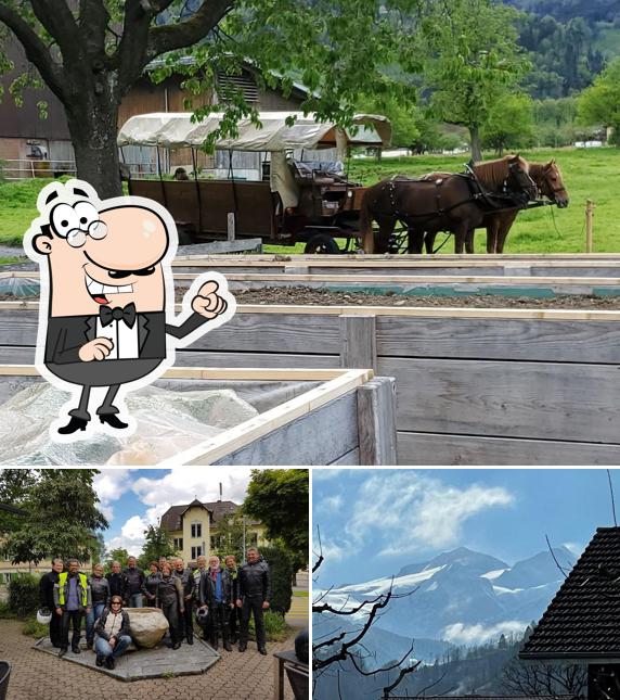 Guarda gli esterni di Siesta