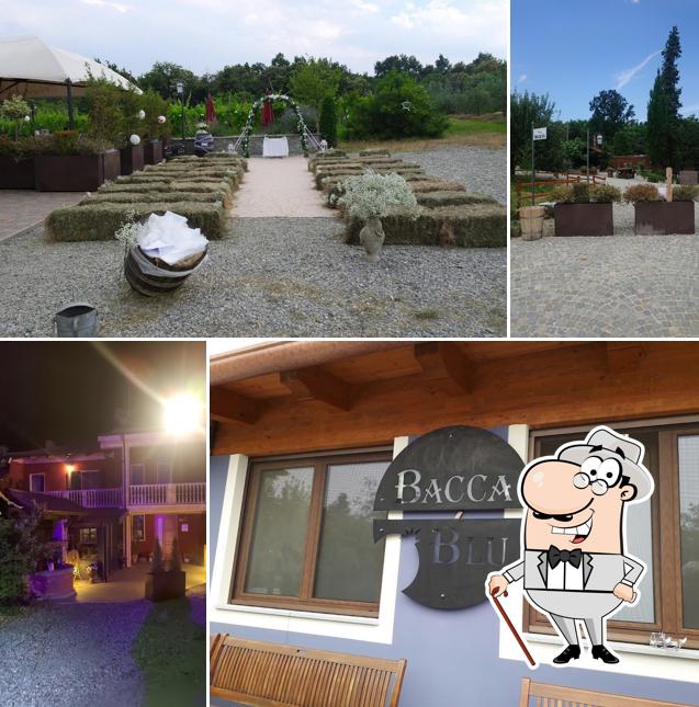 Puoi goderti l'aria fresca da seduto all'esterno di Agriturismo Bacca Blu
