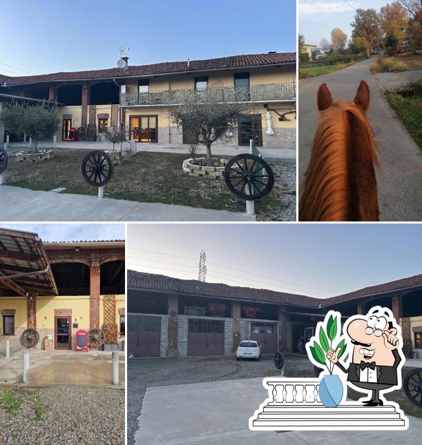 AGRITURISMO LA MEDICA SCUDERIA & MANEGGIO