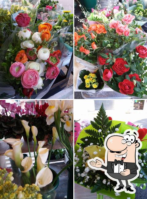 Ecco una foto di Sunflower Street via Pistoia a galatina