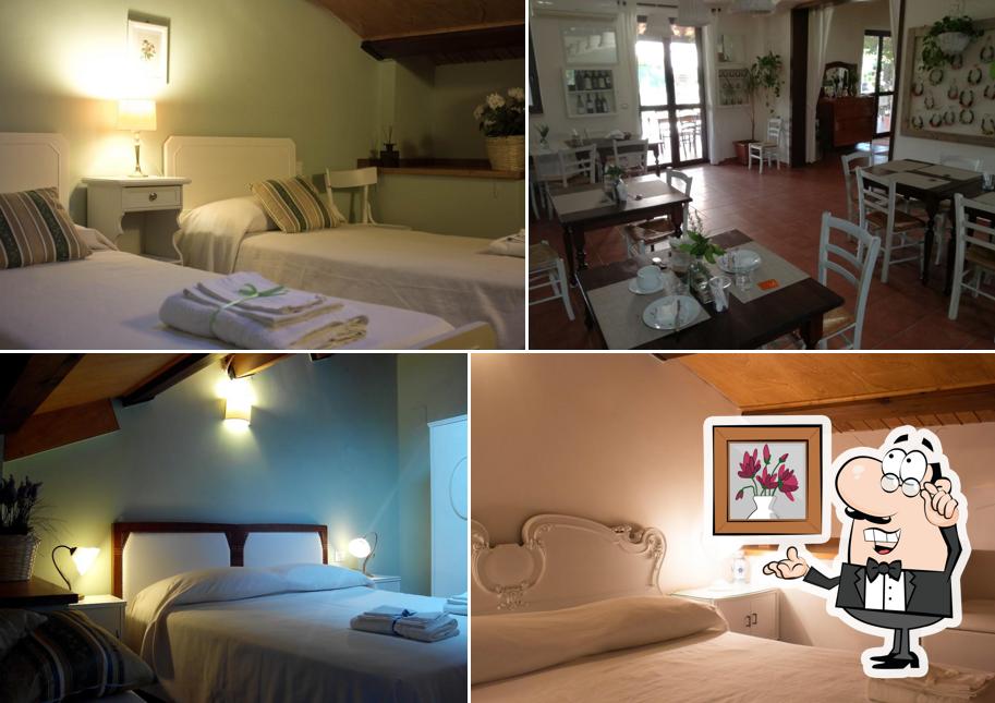 Agriturismo B&B Casale Torre San Magno