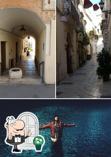 Gli esterni di Zoelogic