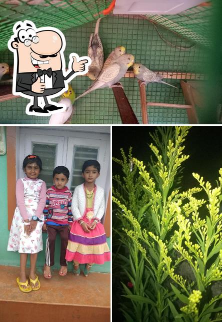 YM Karthick's Residency