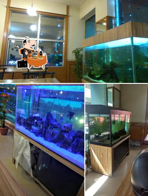 Order seafood at Mayu Restaurant
