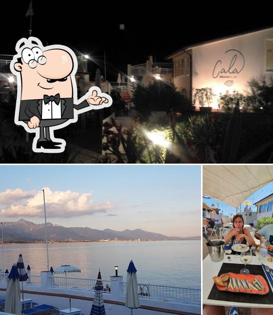 Dai un'occhiata agli interni di Cala Beach Club