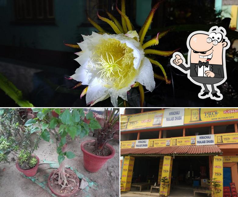 This is the picture displaying exterior and food at Himachali Panjabi Dhaba