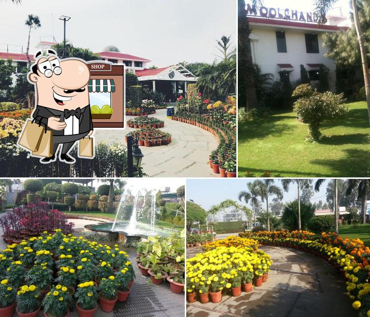Moolchand Resorts