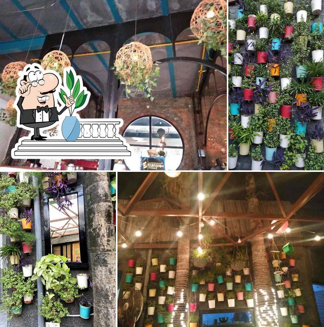 Enjoy the view at the outside area of Soho Pizzeria