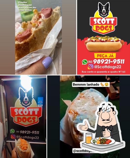 SCOTT DGS