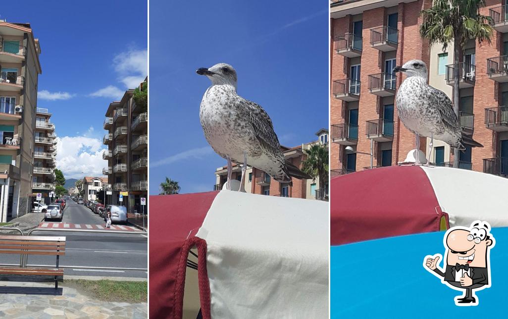 Vedi la immagine di Nostromo spiaggia pubblica attrezzata