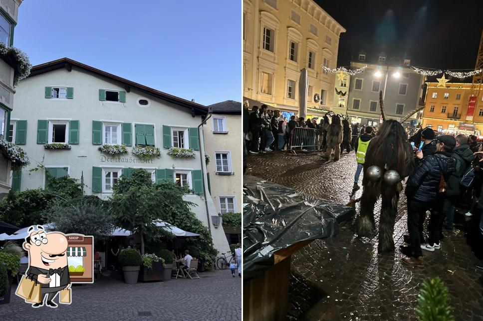 Gli esterni di Traube's Wisawi