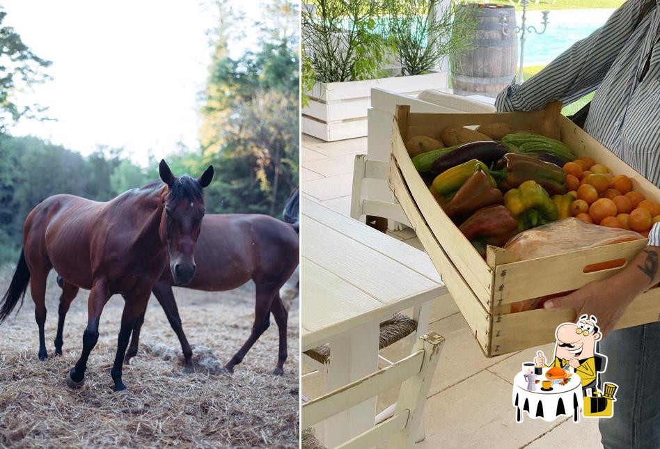 Cibo al La Pampa Relais & Spa