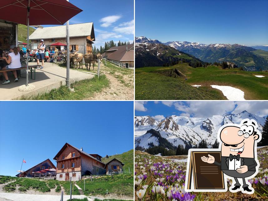Alpbeizli Musenalp