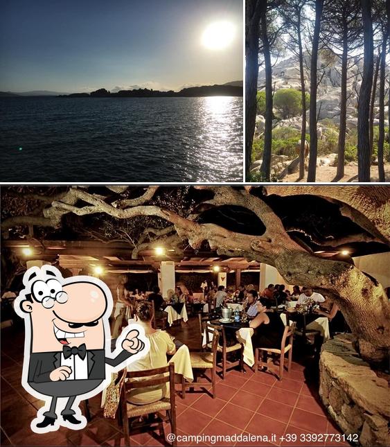 Guarda la immagine che mostra la esterno e interni di Camping Maddalena