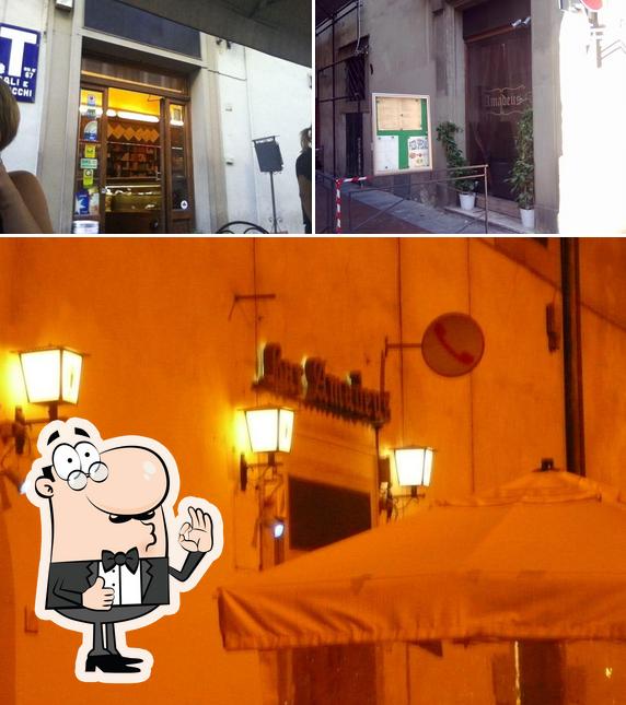 Guarda la foto di Amadeus