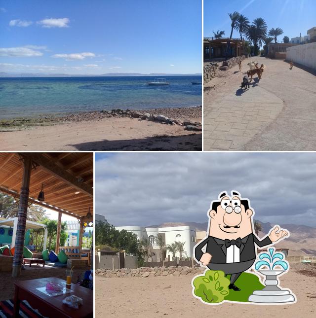 View Restaurant