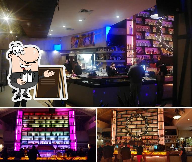 Gli esterni di Vinile