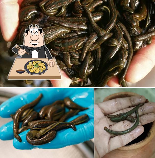 Gyoza at Ayurvedic Leech supplier pune