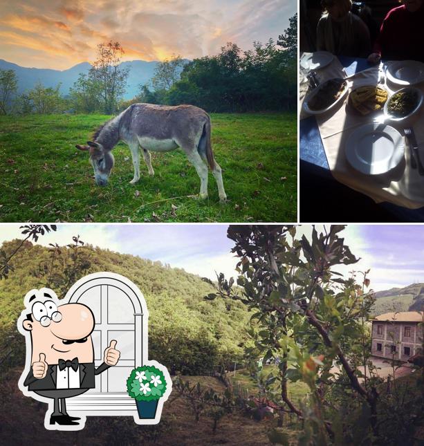Gli esterni di Agriturismo Linda