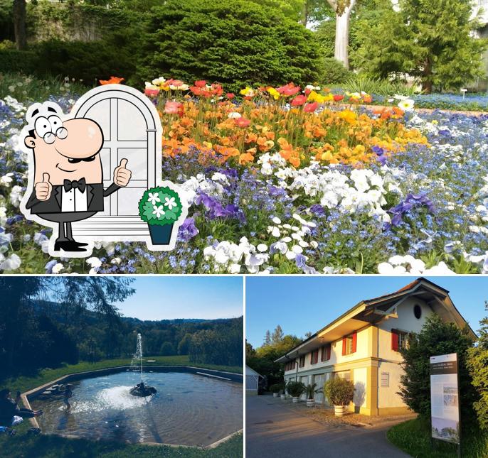 Gli esterni di ElfenauPark
