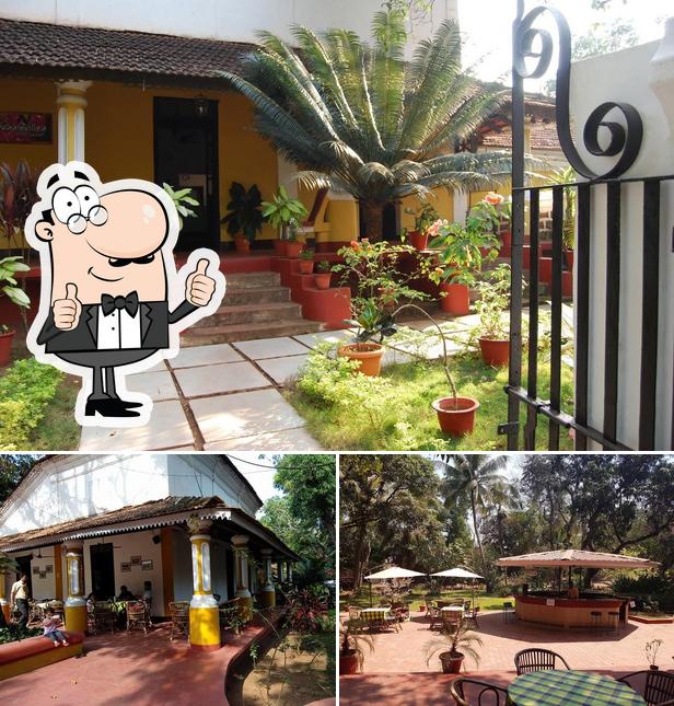 Granpa's Inn Hotel Bougainvillea photo