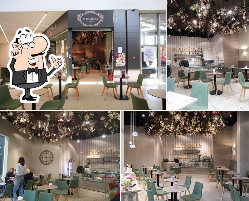 Magnolia Slastice Radnička