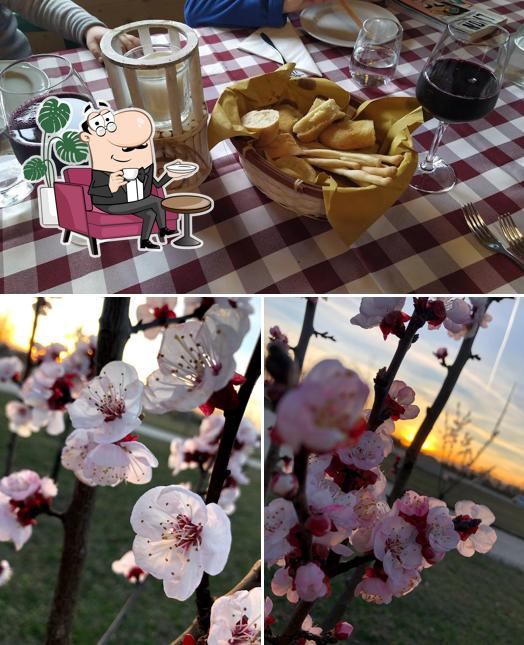Gli interni di Agriturismo La Contea del Vignolo Fiorito
