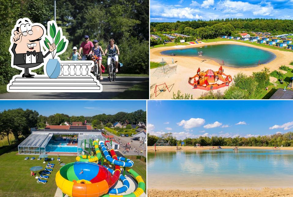 Vakantiepark Capfun - Fruithof