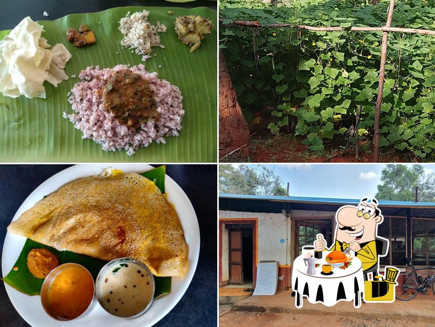 Meals at Sustenance Farm & Akshaya Farm Kitchen