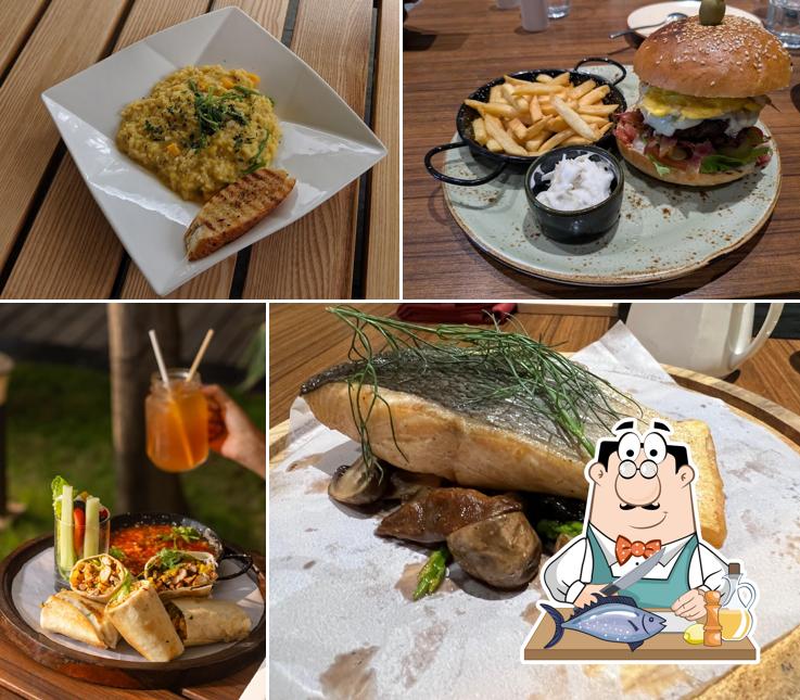 Grilled salmon at The Bengaluru Brasserie