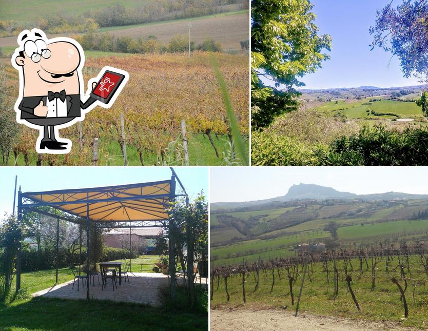 Guarda gli esterni di Agriturismo Duslaun