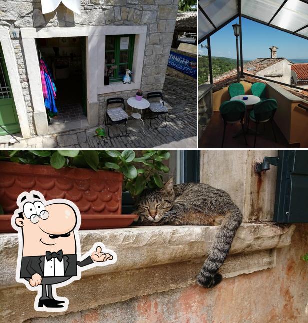 Dai un'occhiata agli interni di Pintur