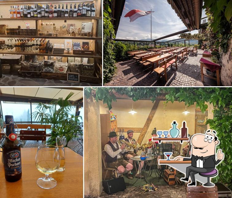 Dai un'occhiata agli interni di Torgglkeller