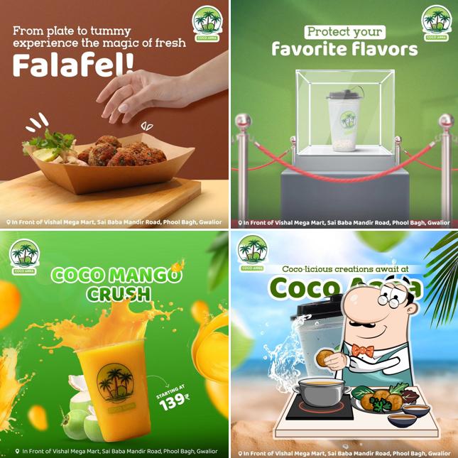 Falafel at COCO ANNA