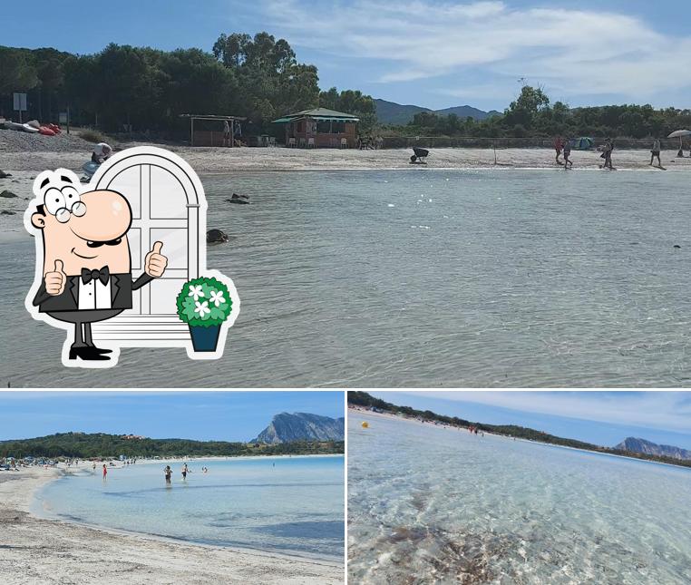 Curiosa tra la parte esterna di Brandinchi Chiosco spiaggia sud