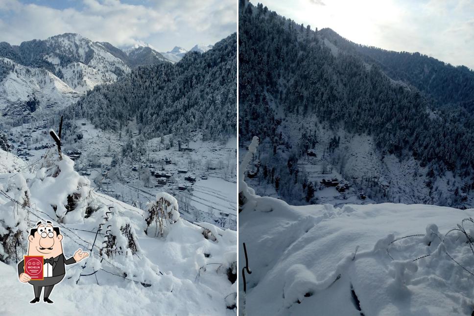 See the image of Greendot Restaurant (Pure Veg) Gangtok