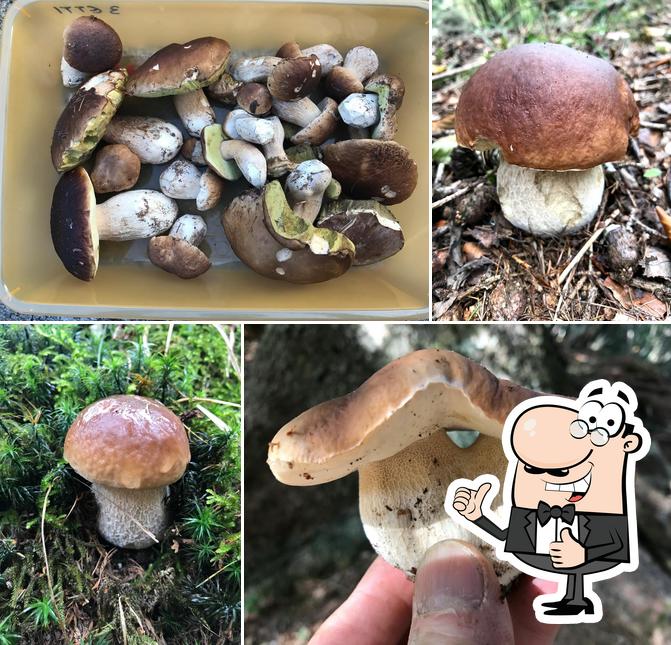 Bar Centrale - Pizzeria Da Martì - di Cotti Piccinelli Rachele & C.