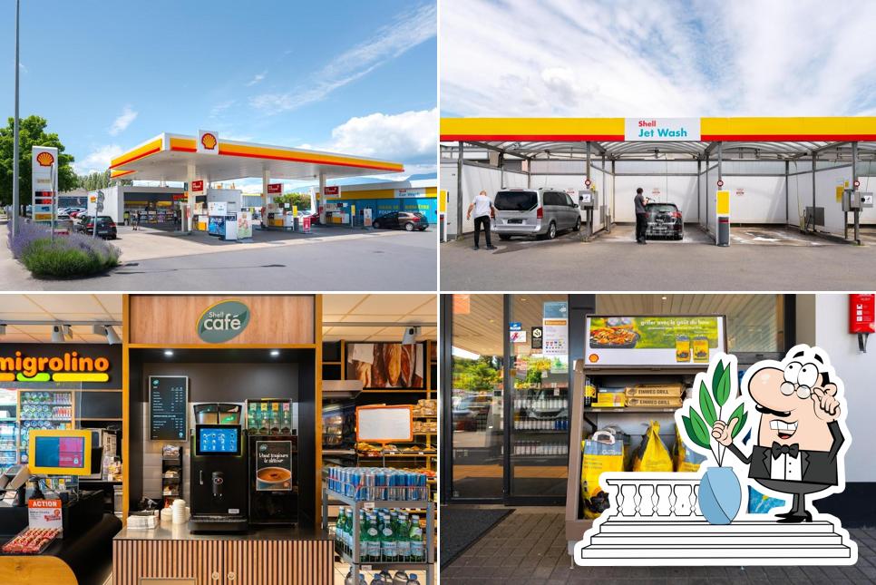 Gli esterni di Shell