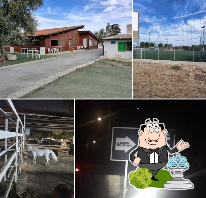 Guarda gli esterni di La Macchia degli Esperti - Pizzeria, Equitazione & Campi Sportivi
