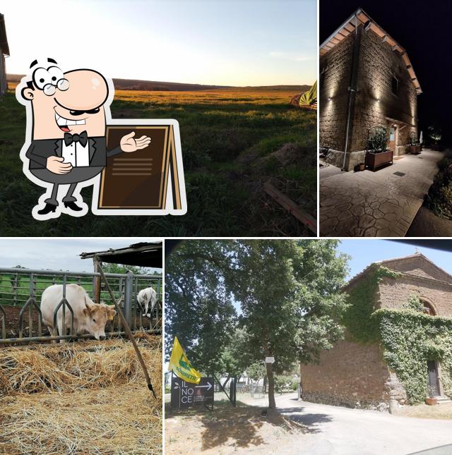 Gli esterni di Il Noce Agriturismo