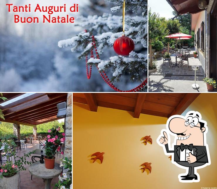 Le Rondini